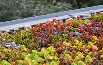 the cost of Hollins Green green roof installation