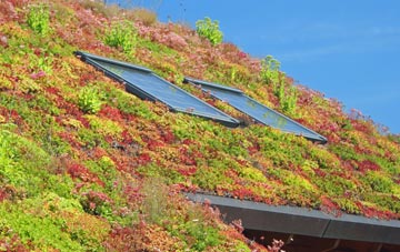 Hollins Green living roof systems