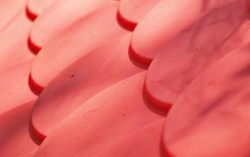 Hollins Green plastic roof costs