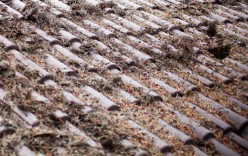 Hollins Green roof cleaning companies